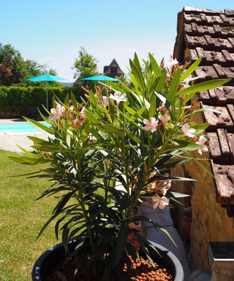 Le Clos De La Musardise - Gites De Charme Avec Piscine Chauffee Salignac Eyvigues Exteriér fotografie
